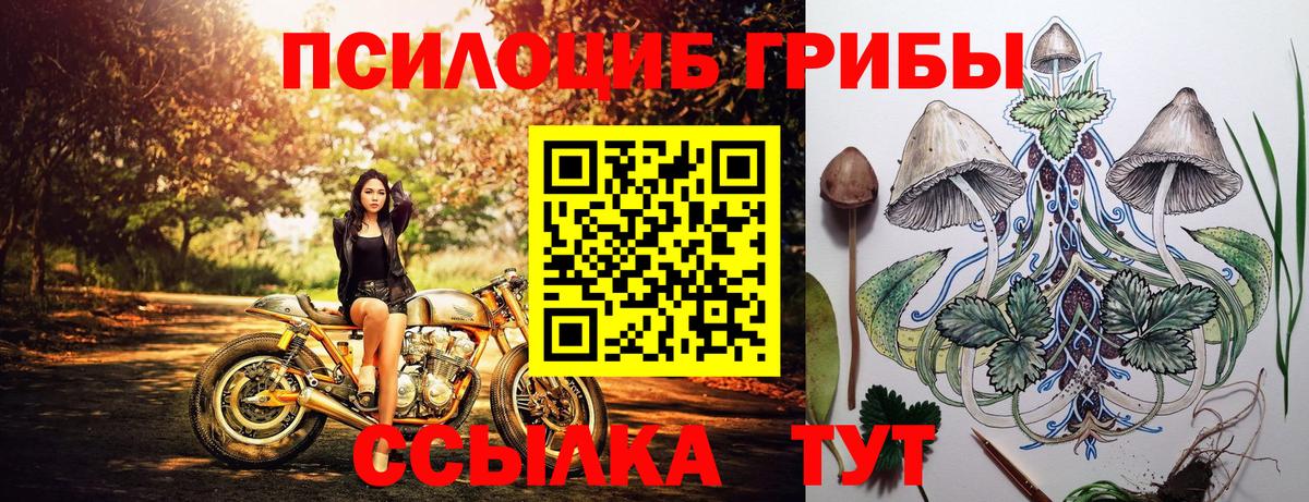Галлюциногенные грибы MAGIC MUSHROOMS Элиста
